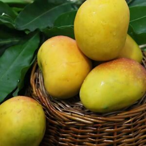 Himayat Mango