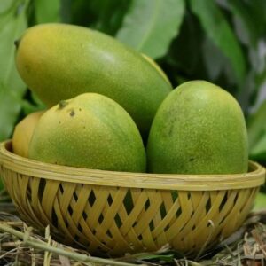 Charuku Rasalu Mango